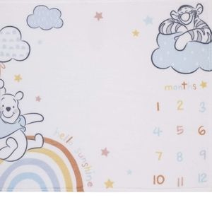 Winnie the Pooh Plush Monthly Milestone Blanket